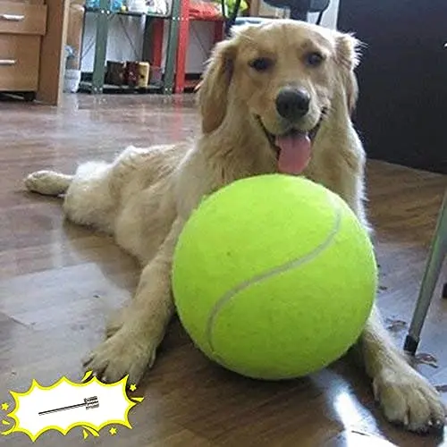 Banfeng giant yellow tennis ball for large dogs