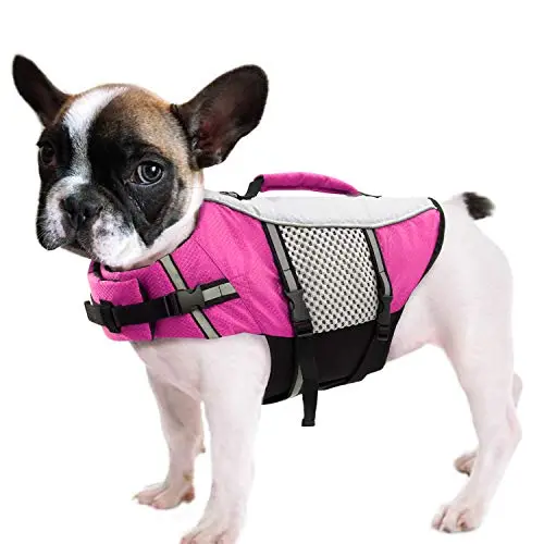 QUEENMORE lightweight neoprene dog life jacket