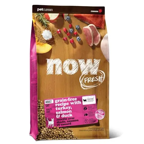 Now Fresh grain-free dry cat food with turkey, salmon and duck